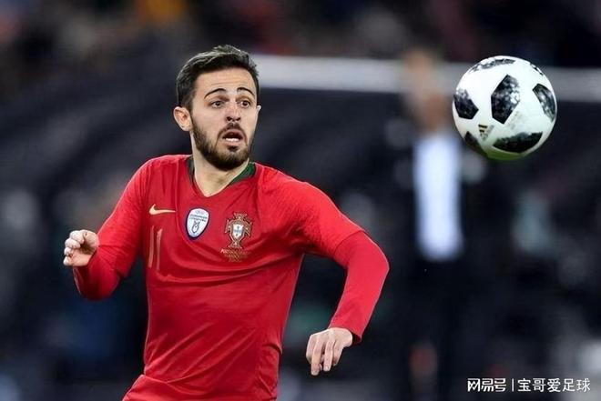 成长为欧洲 成长为欧洲