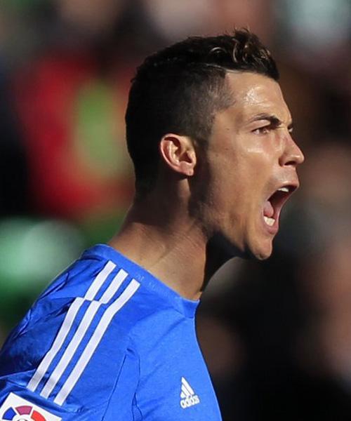 英国老将马 英国老将马