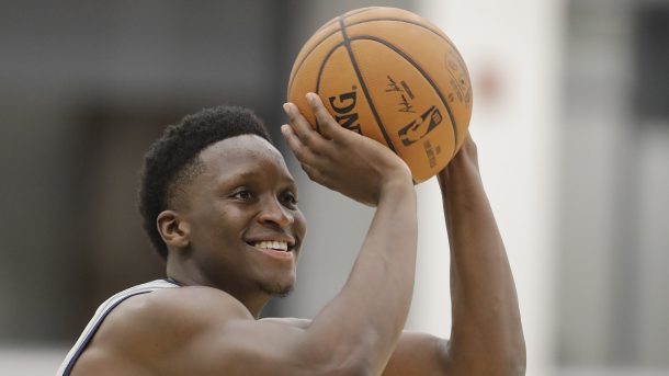 雄鹿只能依 雄鹿只能依