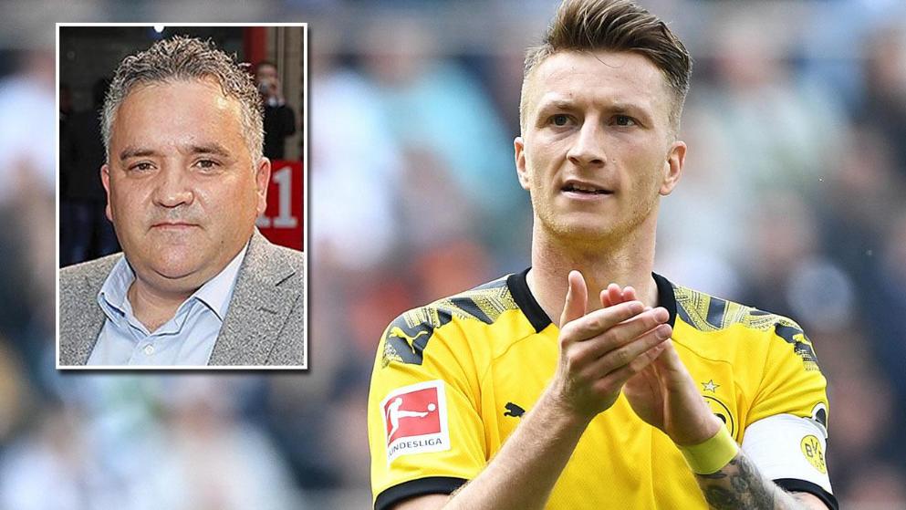 德里奇影响 德里奇影响