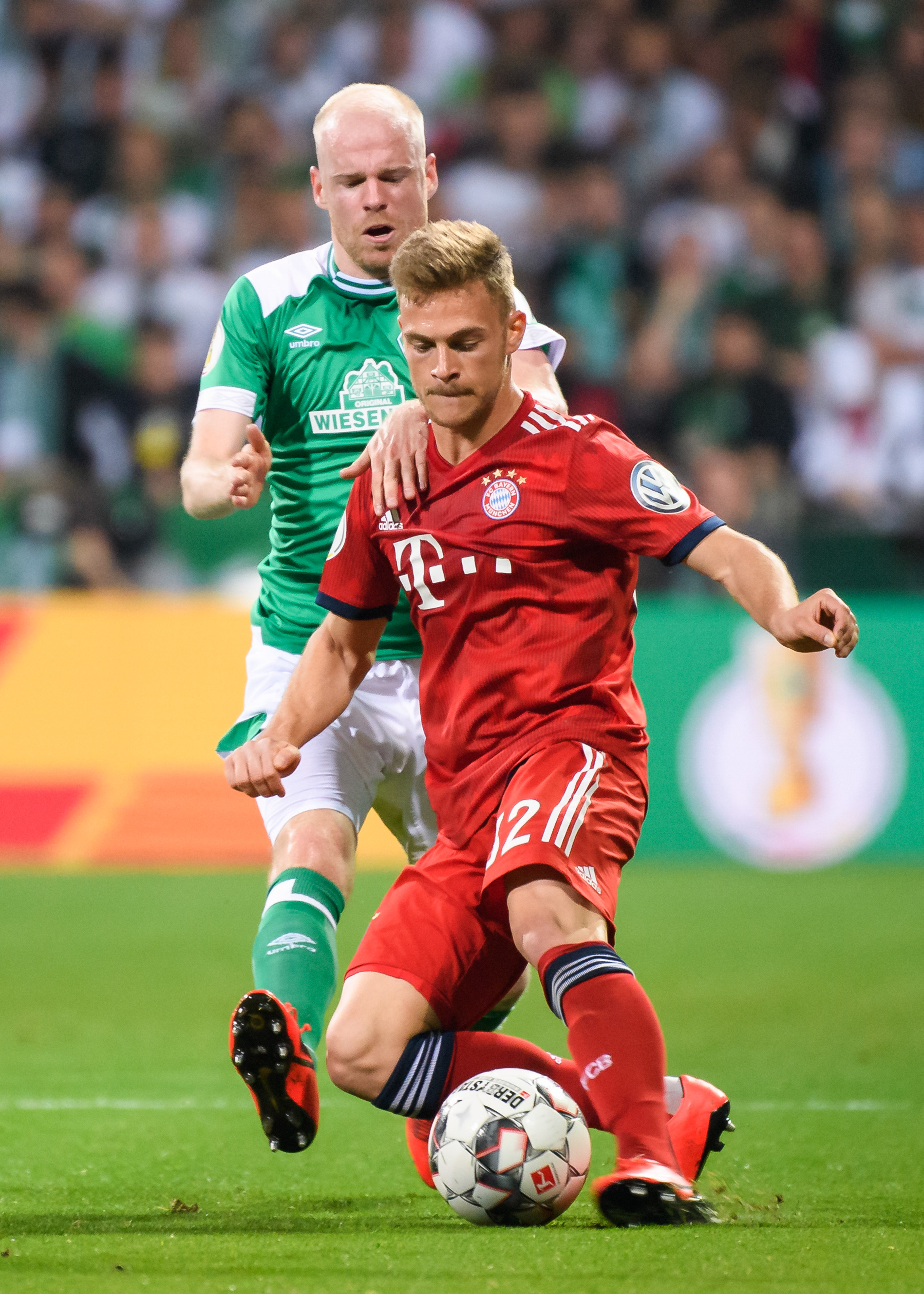 强的韧性 强的韧性