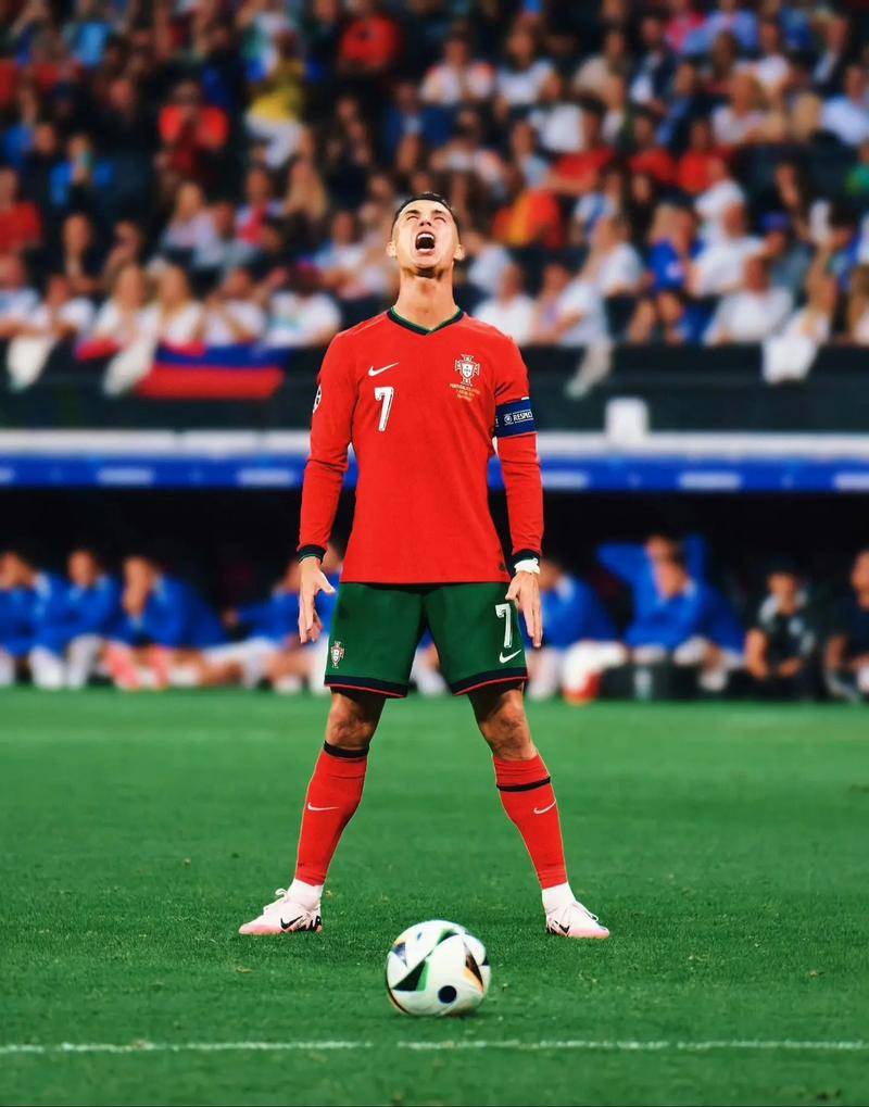 将训练计划 将训练计划